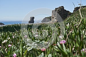 view of the beach at the pacific ocean of the chilean coast at the arcos de calan.