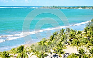 View of the beach with palm trees and blue sky photo