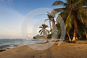 View of a beach with palm trees and boats in Puerto Viejo de Talamanca, Costa Rica photo