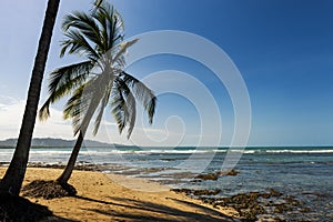 View of the beach with palm trees in Puerto Viejo de Talamanca, Costa Rica