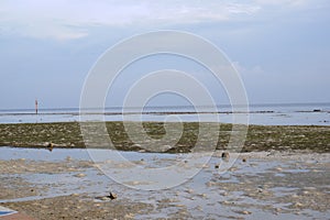 the view of the beach that is receding