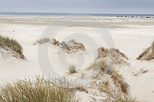 Dunes on Romo Island - Denmark. photo