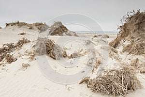 Dunes on Romo Island - Denmark. photo