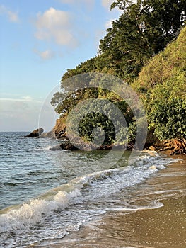 A view of the beach, Samana, Dominican Republic, 2024