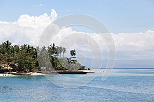 View of the beach in the sea with palm trees.