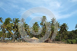 View of beach, summer houses and palm trees photo
