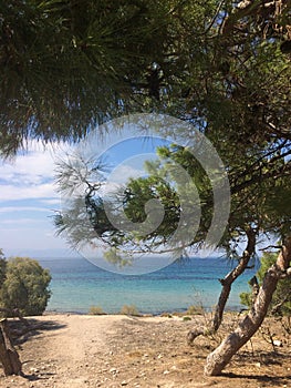 View from the beach to the azure sea through coniferous trees. Greece.