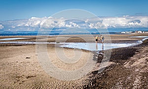 A view on the beach of tourists enjoying the summer sun