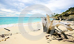 The view of a beach on uninhabited island Half Moon Cay (The Ba