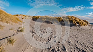 View of beaches with sand and plenty of natural grasses