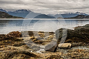 A VIEW OF THE BEAGLE CANAL SEEN FROM THE `TIERRA DEL FUEGO NATIONAL PARK`