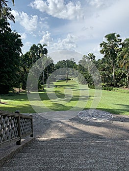 A view of beatiful Botanic gardens singapore 