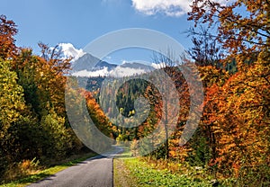 View of a beautiful autumn landscape with colorful trees and rocky peaks in the background.