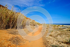 View on the beautiful beach Praia da Falesia - Praia da Rocha Baixinha Nascente photo