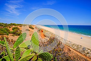 View on the beautiful beach Praia da Rocha Baixinha Nascente in Algarve, Portugal photo