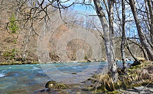 view on beautiful blue alpine river flowing between forest bank