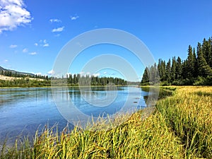 A view of the beautiful bow river in Alberta, Canada.