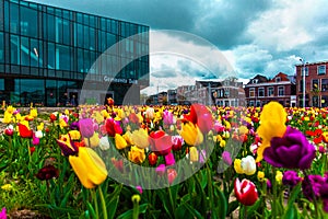 View on the beautiful buildings facades on the central square in Delft city, Netherland