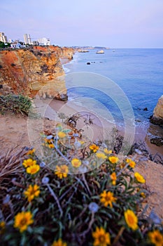 View on beautiful cliff in Algarve. Vacation in Portugal