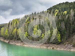 View of beautiful colorful forest of Tara mountain and Zaovine l