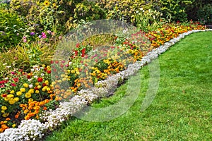 View of a beautiful garden with grass lawn and flowers in bloom. Lush landscaped garden with colourful flowerbeds