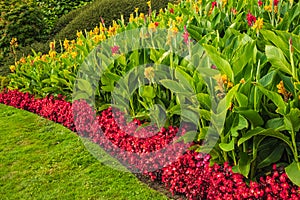 View of a beautiful garden with grass lawn and flowers in bloom. Lush landscaped garden with colourful flowerbeds