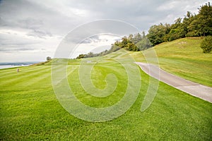 Beautiful meadow/ golf course photo