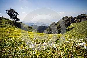 View of beautiful green scenery and mountain ridges at Hatu Peak of Narkanda town, Himachal Pradesh.