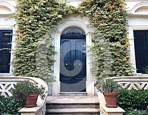 View of a Beautiful House Exterior and Front Door Seen. There are windows on either side of the door, plants on the wall