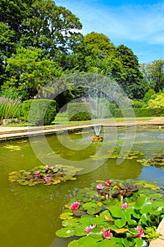 A pond at Kingsnorth Gardens Folkestone England