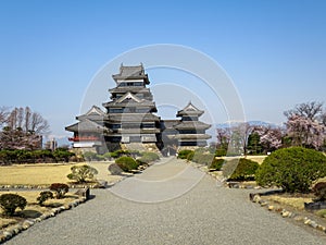 View of beautiful Matsumoto crow castle through entrance road with snow mountain and blue sky background during cherry blossom