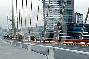 View of beautiful modern bridge near city photo