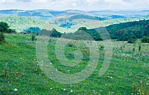 View from a Beautiful Mountain Meadow