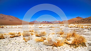 View of the beautiful mountain and Salvador Dali Siloli Desert in Uyuni Bolivia photo