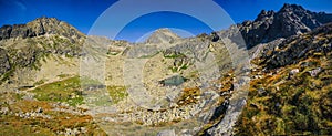 Summer mountain landscape in a panoramic perspective.