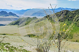 View at beautiful mountain valley landscape at sunny day