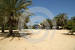 View of beautiful park in Dubai, UAE. Al Mamzar Beach and Park.