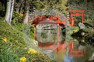 View on a beautiful red bridge in a park