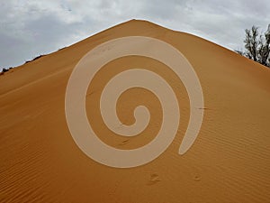 View of beautiful sand dunes in Abu Dhabi, UAE