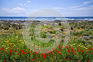 A view of a beautiful sea view in Ayia Thekla in Ayia Napa, Cyprus.Autumn season, full of flowers beautiful view or the mediterran