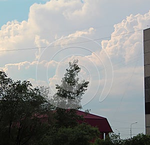 View of the beautiful sky and green trees