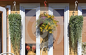 View of a beautiful small wooden house exterior with the windows are decorated with hanging flowers.