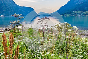 Sognefjord panorama from Skjolden Norway