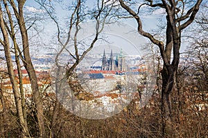 The view of the beautiful St. Vitus Cathedral and Hradcany