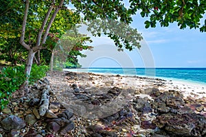 View of beautiful tropic beach at Ko Phi Phi islands, Thailand. White sand with green forest, palms and turquoise water. Summer