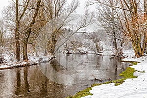 Winter landscape in the snowy forest and Warta river in Mstow, Poland photo