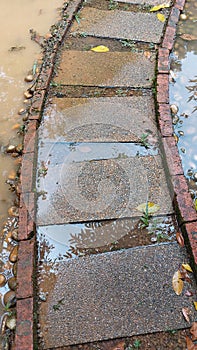 View of beautiful wlking path at the garden