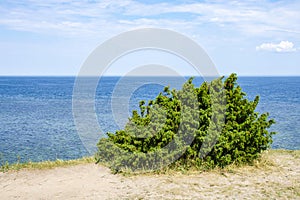 View of beautifull see landscape in Saaremaa, Estonia.