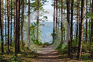 View of beautifull see landscape in Saaremaa, Estonia.