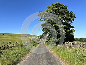 View on, Beeston Hurst, with plants, and a blue sky in, Ripponden, Yorkshire, UK